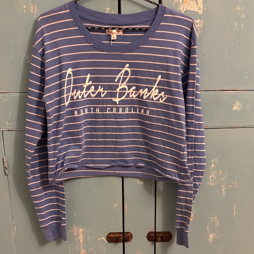 Blue Striped Crop Top